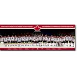 2010 Hockey Canada (Celebration, Door) Sports Poster Print - 21x62 Sports Door Poster Print, 62x21