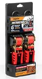 CargoLoc 84055 Two Piece 6 Foot Retractable Tie Down