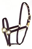 Hamilton 8D SMBK 3/4-Inch Nylon Arabian Horse Halter for 500 to 800-Pound Horse, Black