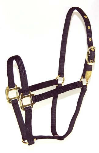 Hamilton 8D SMBK 3/4-Inch Nylon Arabian Horse Halter for 500 to 800-Pound Horse, Black