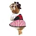 Lady Pirate Dog Costume Size: 6 - (16" L)