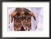 Person Displaying Henna Hand Tattoos, Djibouti, Djibouti Collections Framed Photographic Poster Print by Frances Linzee Gordon, 22x16