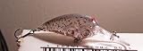 410azL6ZfAL. SL160  Norman Deep Little N Bass Fishing Crankbait