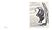 Raymond Pettibon: Here's Your Irony Back: Political Works 1975-2013