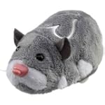 Zhu Zhu