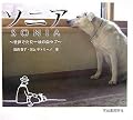 黒から白へ変わってしまった黒ラブの話。犬にもこんな感情があるのだなあ。