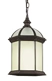 Bel Air Lighting PL-4183 BK  Black Outdoor Hanging Light