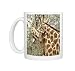 Niger, Koure, two Photo Mugs