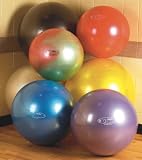 The Fitball Exercise/stability Ball