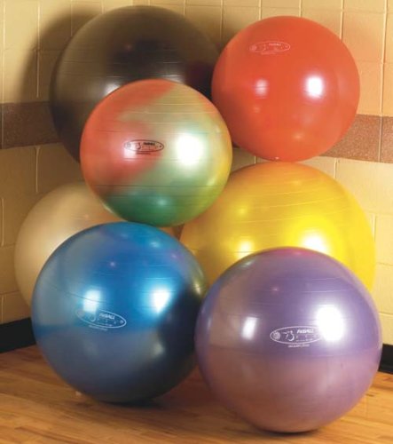 The Original FitBall Exercise Ball