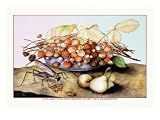 Bowl of Strawberries, Pears and a Grasshopper by Giovanna Garzoni, 18x24
