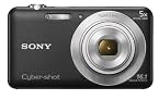 Sony Cyber-shot DSC-W710 16.1MP Point-and-Shoot Digital Camera (Black) with Camera Case