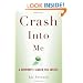 Crash Into Me: A Survivor's Search for Justice