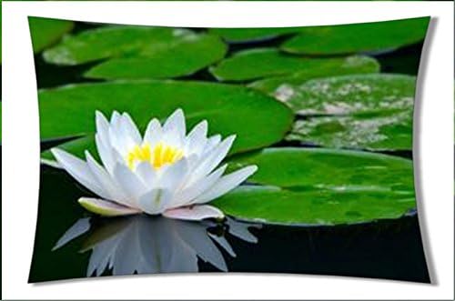 MConline85 Custom Rectangle Various Type Pillow Cover 20x30inch QC35