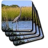 Wild animals - Blue Heron - Coasters