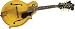 Gibson F 'Goldrush' Mandolin, Goldrush