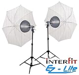 Interfit INT160 EZ LITE Tungsten 2 500 Watt Head Kit (Gray)