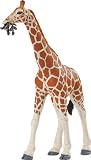 Wild Safari Jungle - Reticulated Giraffe