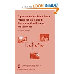 E-government and Public Sector Process Rebuilding: Dilettantes, Wheel Barrows, and Diamonds