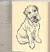 Wheaten Terrier Dog Rubber Stamp - Wood Mounted