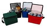 Insulated 6 Can Lunch Cooler