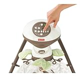 Fisher-Price Cradle N Swing, My Little Snugabunny