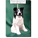 Border Collie (Red) Handpainted Ornament