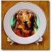 Dachshund - 8 Inch Porcelain Plate