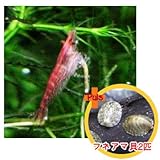 ���i�̏ڍ�