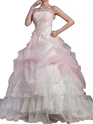 Organza   Ball Gown  Dress with a Court Train 