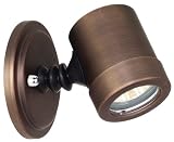 Garden Water Features & Outdoor Fountains item: Access Lighting 23025-BRZ-CLR Myra 1 Light Outdoor Spot Light in Bronze with Clear glass