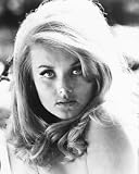 BARBARA BOUCHET 8x10 B&W PHOTO