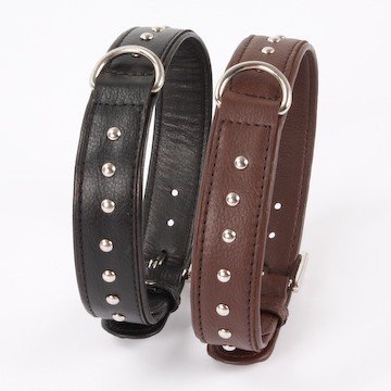 Hundehalsband Nappaleder mit Nieten 725, Halsband Länge:60cm; Halsband Farbe:schwarz