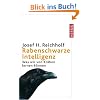 Rabenschwarze Intelligenz: Was wir von Kr�hen lernen k�nnen