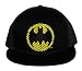 Search : Batman DC Comics Super Hero Logo Comic Panel Flat Bill Cap Hat