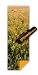 Yogamatic Eco-friendly Printed Yoga Mat (Wheat)