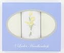 Ladies Handkerchiefs - Gift Box Of 3 Cream