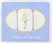 Ladies Handkerchiefs - Gift Box Of 3 Cream