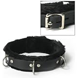 Strict Leather Fur Lined Collar