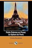 Le Spleen de Paris