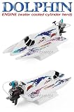 Dolphin Nitro RC Hydro Sport Boat