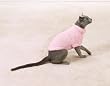 Cat Sweater - Pink Cat Fuzzy Sweater - Large