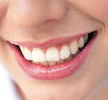 25 G Prim Perfect Thai Herbal Toothpaste for Healthy Gum and Teeth
