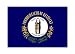 Kentucky State Flag Fridge Magnet