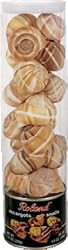 Roland Snails & Shells, Giant , 12-Count Tubes (Pack of 2)