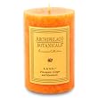 Archipelago Botanicals Excursion Lanai 2x3 Pillar Candle