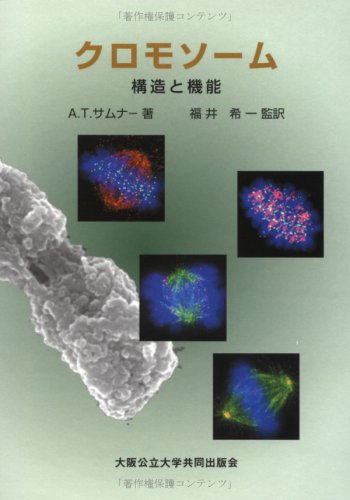 クロモソーム―構造と機能