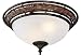 410eeAyGjQL. SL75  Ceiling Fan Light Kit in Old Chicago