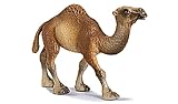 Eigenschaften Schleich 14082 / Schleich 14082 - Dromedar