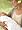 Grobag Cotton Swaddling Wrap